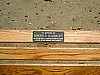 Memorial Plate on Bench